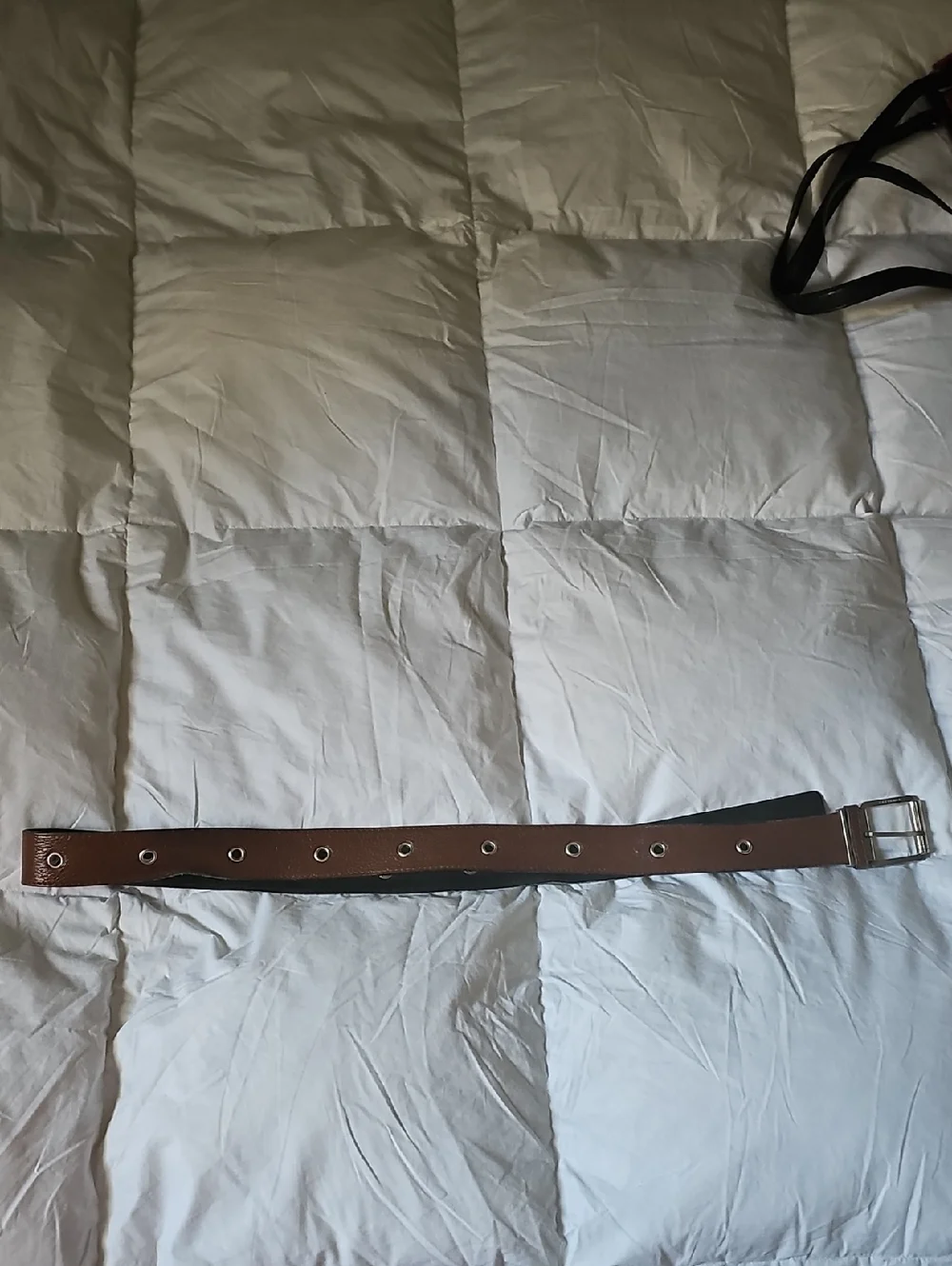 Belt By Burberry Brown Leather with Silver Hardware - Picture 4 of 5